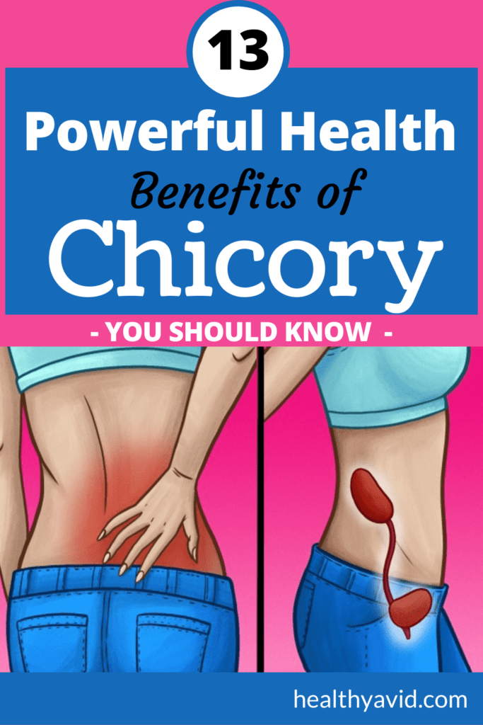 health benefits of chicory