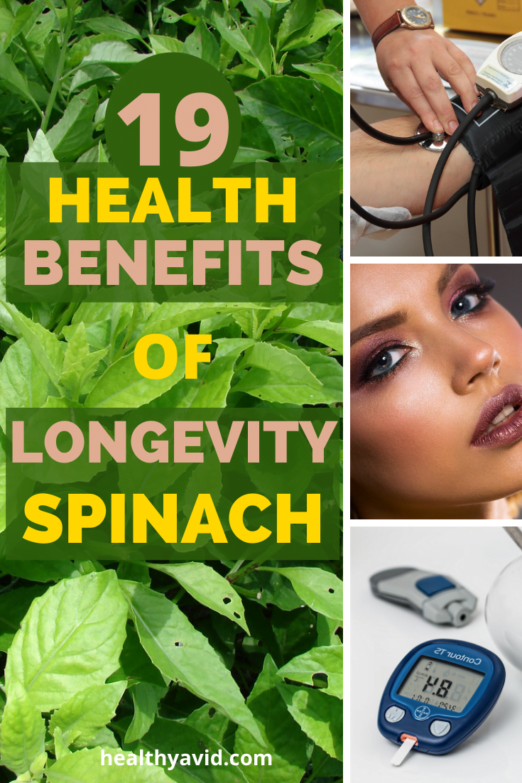 19 Health Benefits of Longevity Spinach Healthyavid