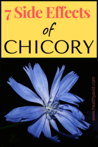 7 Danderous Side effects of chicory PINTEREST