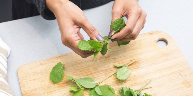 15 High Protein Smoothie Recipes for Women