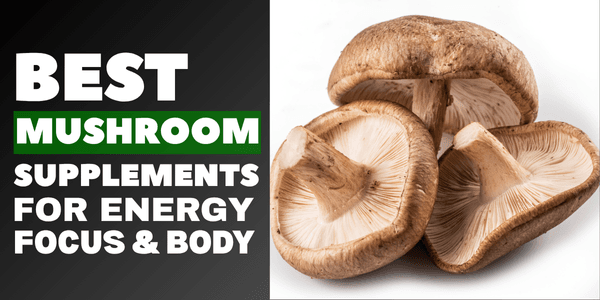 BEST MUSHROOM SUPPLEMENTS FOR YOUR HEALTH