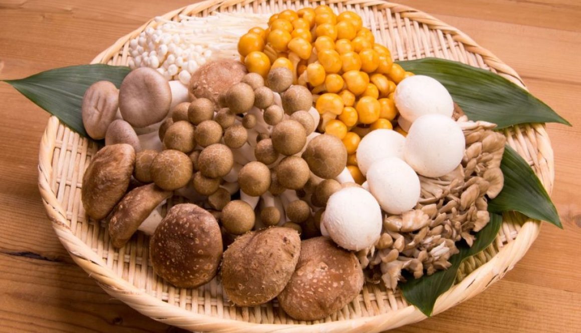 Benefits of mushroom supplements-Antioxidant properties of mushrooms represented by various colorful mushrooms
