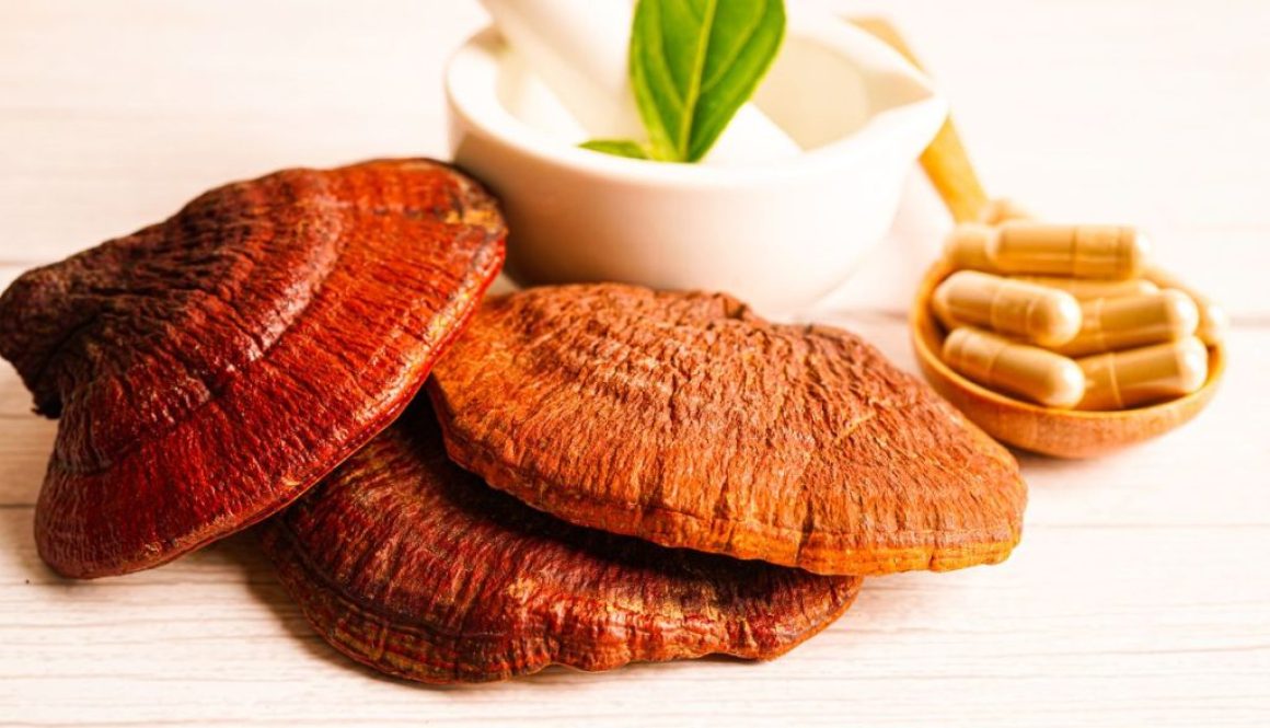 mushroom supplements
