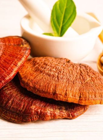 mushroom supplements