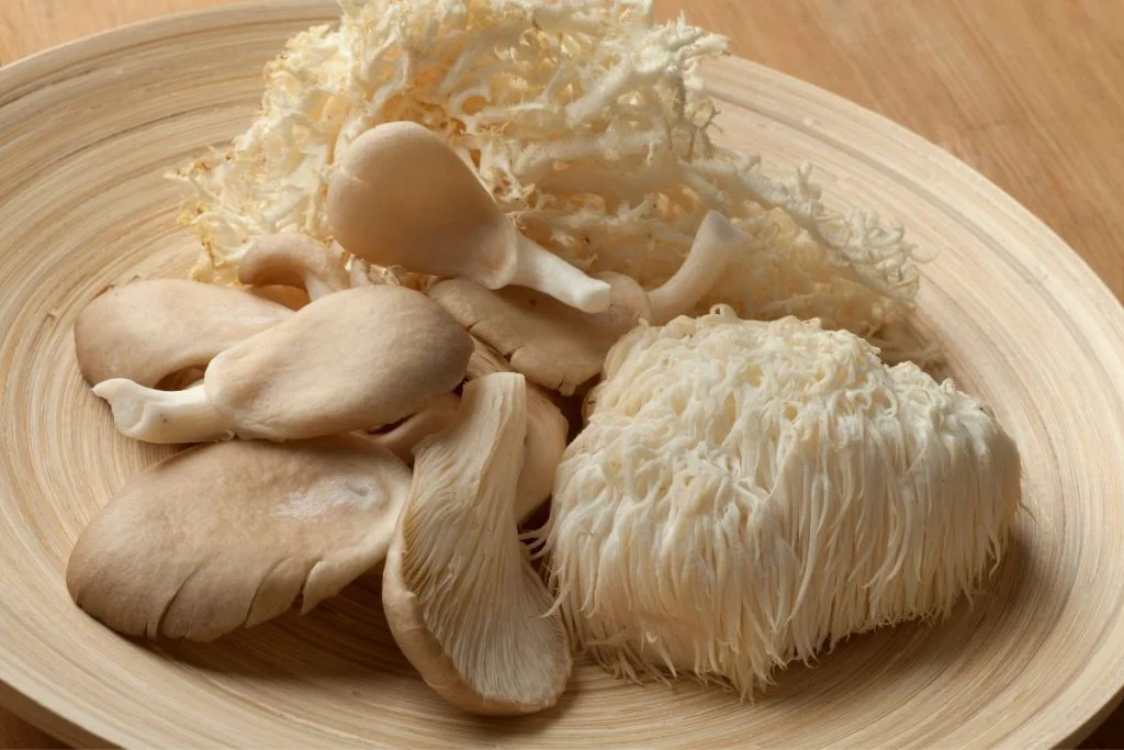 types of mushrooms for gut health