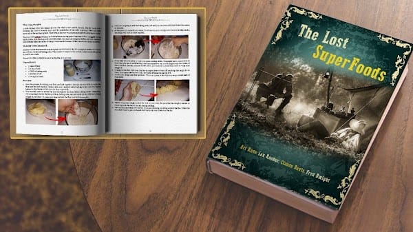 The Lost super foods -healthyavid.com